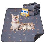 Best Rug Material for Dogs