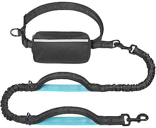 Best Running Leash for Dogs