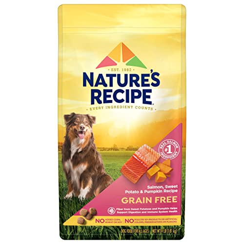 Best Salmon Dry Dog Food