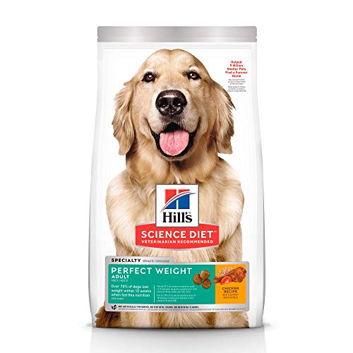 Best Science Diet Dog Food