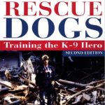 Best Search And Rescue Dogs