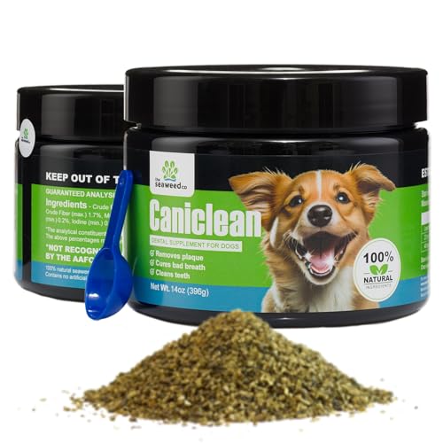 Best Seaweed for Dogs Teeth