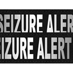 Best Seizure Alert Dog Breeds