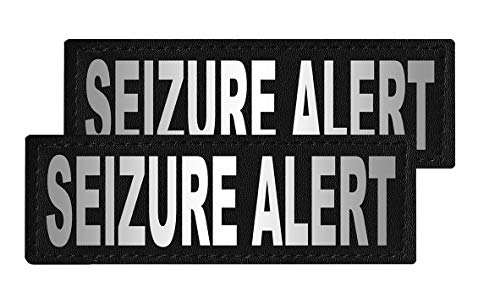 Best Seizure Alert Dog Breeds