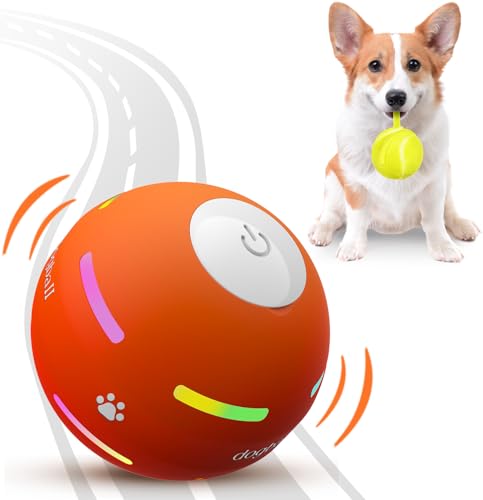Best Self Moving Ball for Dogs