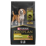 Best Senior Dog Food for Weight Gain