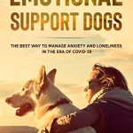 Best Service Dog Breeds for Anxiety