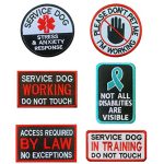 Best Service Dog Breeds for Ptsd And Anxiety