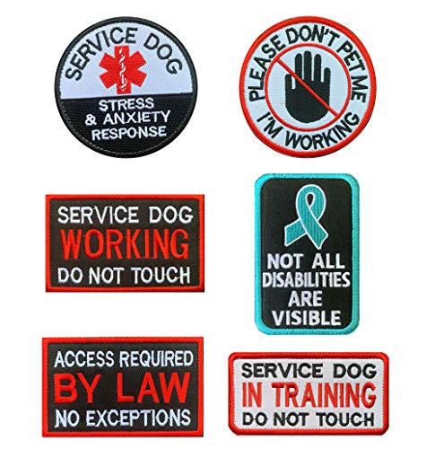 Best Service Dog Breeds for Ptsd And Anxiety