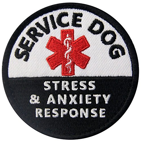 Best Service Dogs for Anxiety