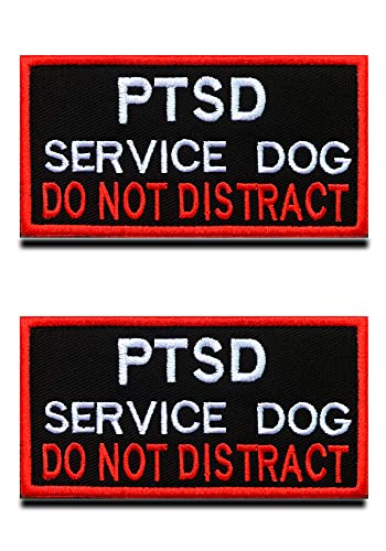Best Service Dogs for Ptsd