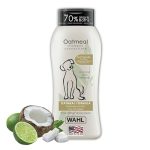 Best Shampoo for an Itchy Dog