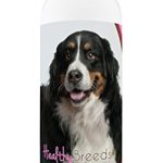 Best Shampoo for Bernese Mountain Dog
