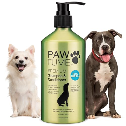 Best Shampoo for Dogs Smell