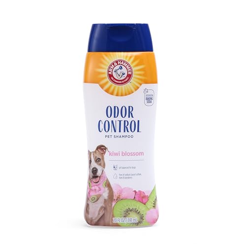 Best Shampoo for Dogs That Stink