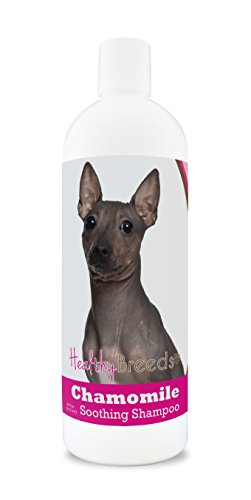 Best Shampoo for Hairless Dogs
