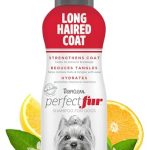 Best Shampoo for Long Haired Dogs