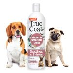 Best Shampoo for Short Hair Dogs