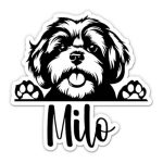Best Shih Tzu Dog Names