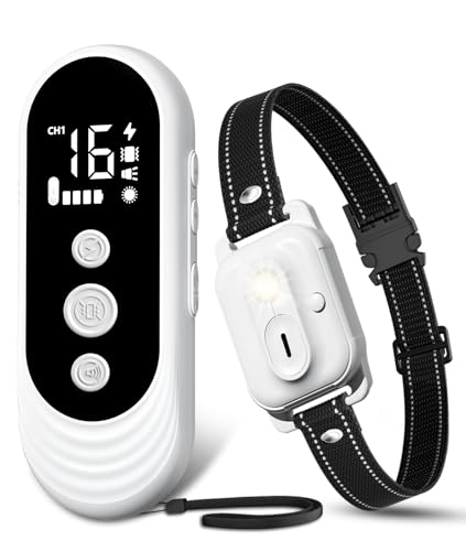 Best Shock Collar for Dogs That Run Away