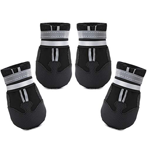 Best Shoes for Dogs in Snow