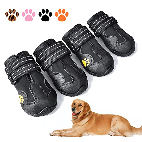 Best Shoes for Dogs in Summer