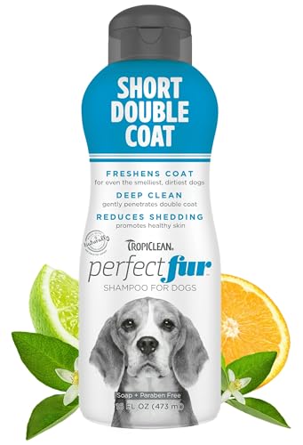 Best Short Hair Dog Shampoo
