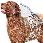 Best Shower Head for Dog Washing