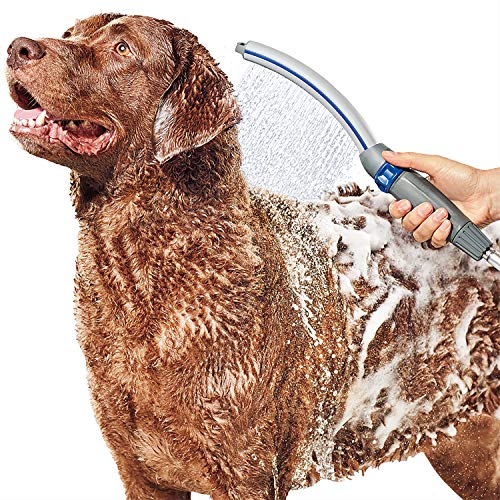 Best Shower Head for Dog Washing