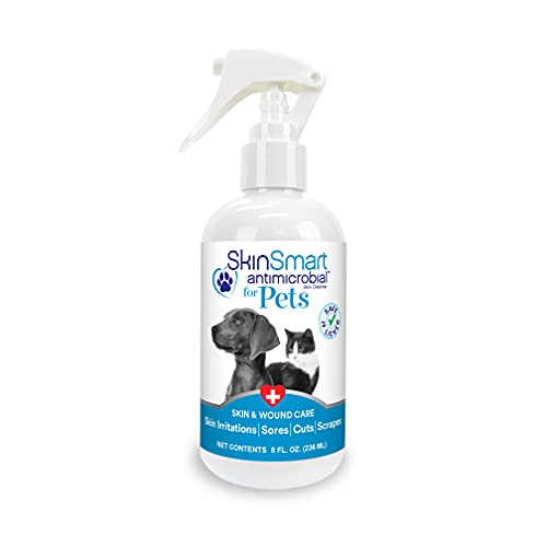 Best Skin Care for Dogs