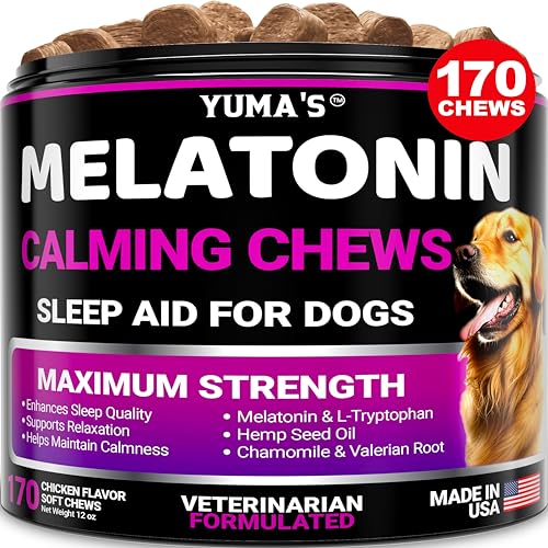 Best Sleeping Pills for Dogs