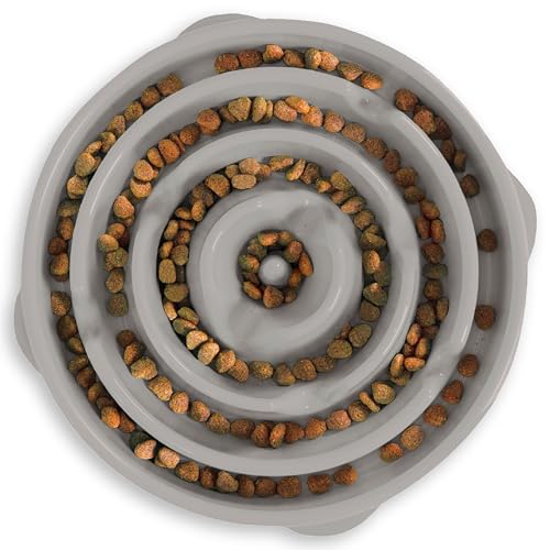 Best Slow Feeder Dog Bowl for Large Dogs