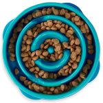 Best Slow Feeder Dog Bowl for Wet Food