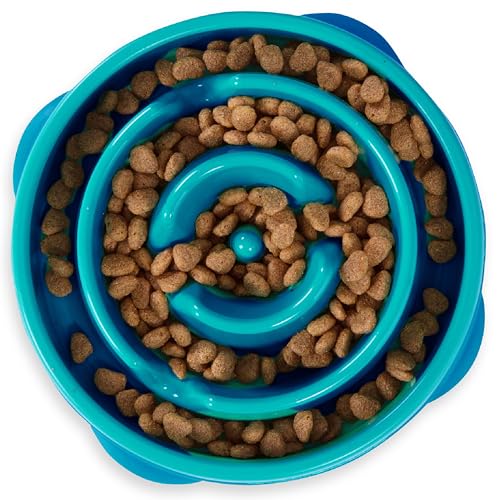 Best Slow Feeder Dog Bowl for Wet Food