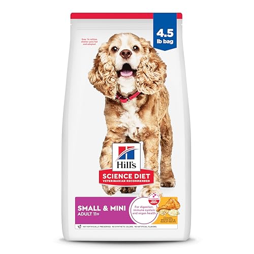 Best Small Breed Dogs for Elderly