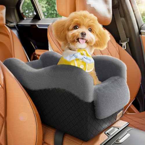 Best Small Dog Console Car Seat