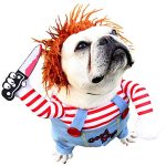 Best Small Dog Halloween Costumes