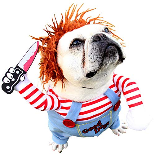 Best Small Dog Halloween Costumes