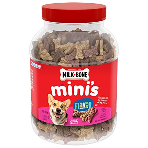 Best Small Dog Treats for Small Breeds