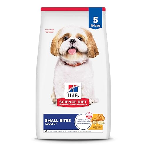 Best Small Dogs for Seniors