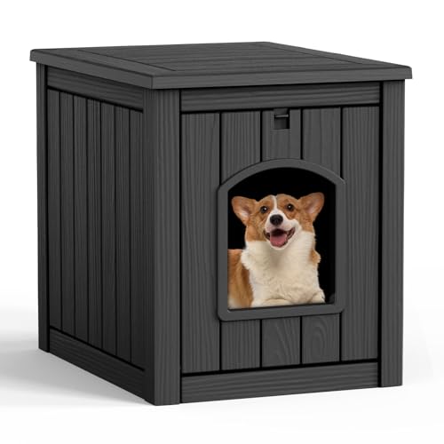 Best Small in House Dogs