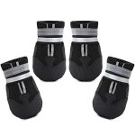 Best Snow Boots for Dogs