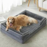 Best Sofas for Dog Owners