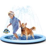 Best Splash Pads for Dogs