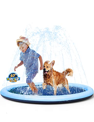Best Splash Pads for Dogs