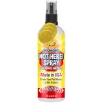 Best Spray to Keep Dogs from Peeing on Carpet
