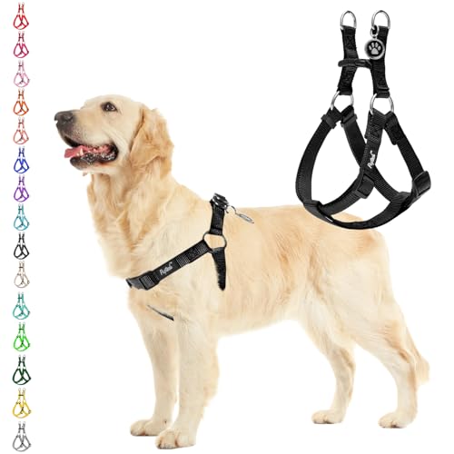 Best Step in Dog Harness