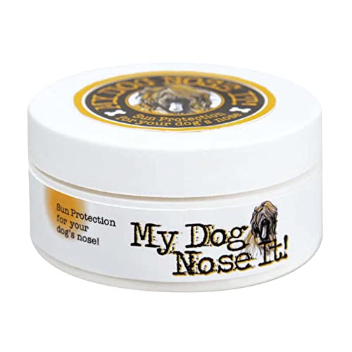 Best Sunscreen for Dogs Nose