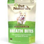 Best Supplement for Dog Bad Breath