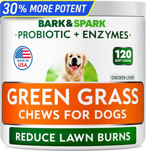 Best Supplement for Dog Urine Killing Grass